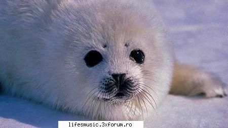 I really want a normal life - ador ficu trebuie sa pui nextt:X te rog..vreau sa - Arhiva ficuri neterminate